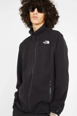100 GLACIER FULL ZIP - Polaire | Noir*THE NORTH FACE Online