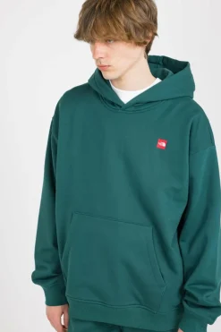 AXYS - Hoodie | Vert*THE NORTH FACE Online