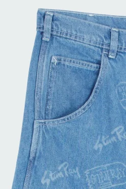 BIG JOB SHORT - Short | Bleu*STAN RAY