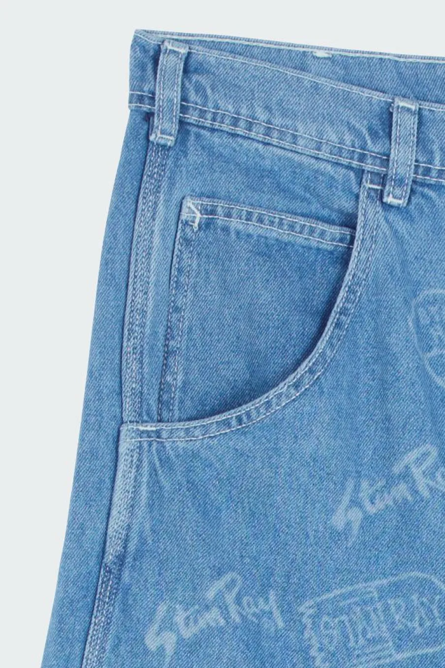 BIG JOB SHORT - Short | Bleu*STAN RAY