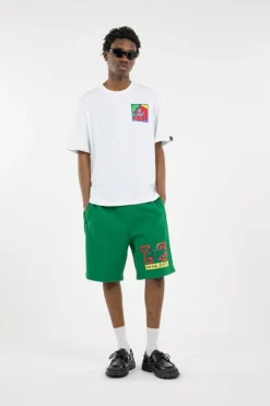 COLLEGIATE PUPPY - Short | Vert*ICE CREAM Best