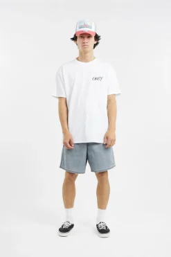 EASY PIGMENT COTTON NYLON SHT - Short | Gris*OBEY