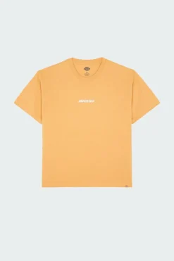 ENTERPRISE TEE SS - T-shirt | Jaune*DICKIES Best