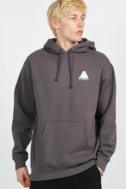Flower Boy Hoodie - Sweat | Gris*RIPNDIP
