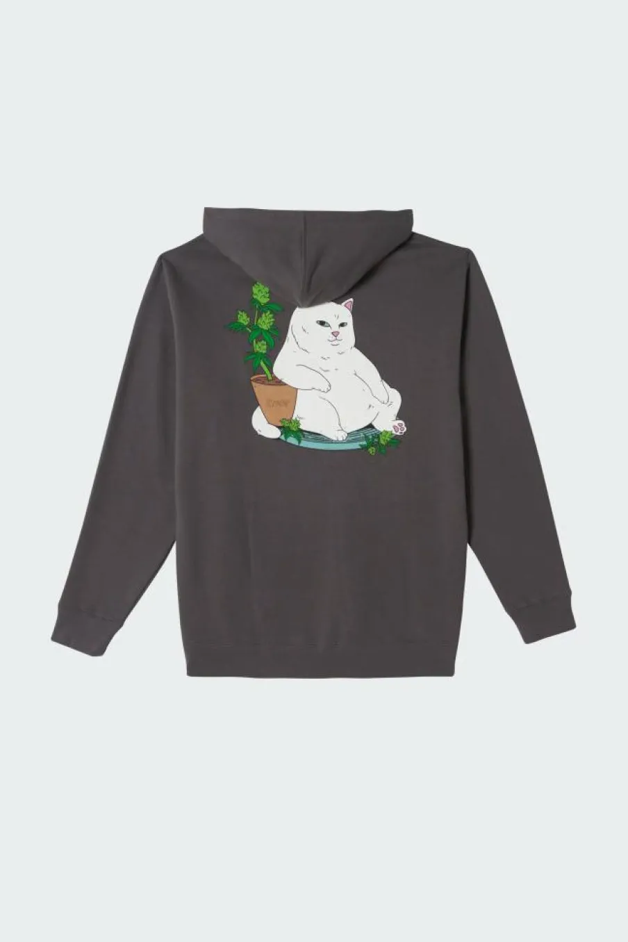 Flower Boy Hoodie - Sweat | Gris*RIPNDIP