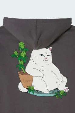 Flower Boy Hoodie - Sweat | Gris*RIPNDIP