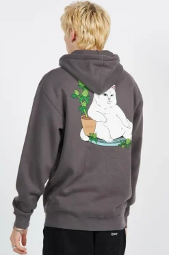 Flower Boy Hoodie - Sweat | Gris*RIPNDIP