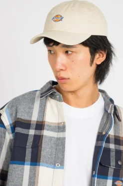 HARDWICK WIT - Casquette | Beige*DICKIES Best