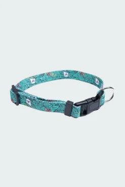 Nermal Leaf - Collier pour chien | Vert*RIPNDIP
