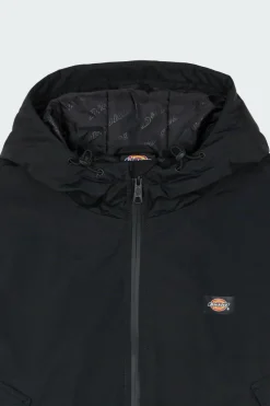 NEW SARPY JACKET - Parka | Noir*DICKIES