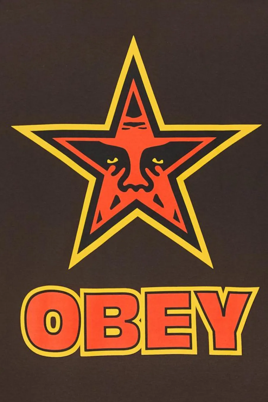 STAR - T-shirt | Marron*OBEY New