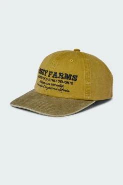 PIGMENT FARMS 6 PNL STRPB - Casquette | Jaune*OBEY Sale