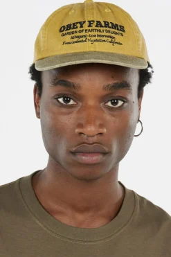 PIGMENT FARMS 6 PNL STRPB - Casquette | Jaune*OBEY Sale