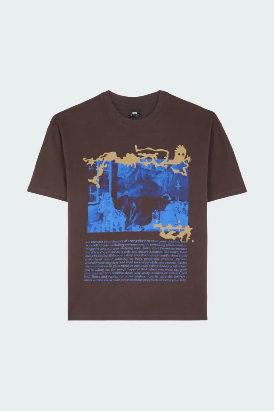 PROPHETIC DREAMS - T-shirt | Marron*EDWIN Online