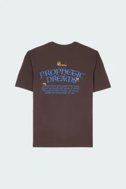 PROPHETIC DREAMS - T-shirt | Marron*EDWIN Online