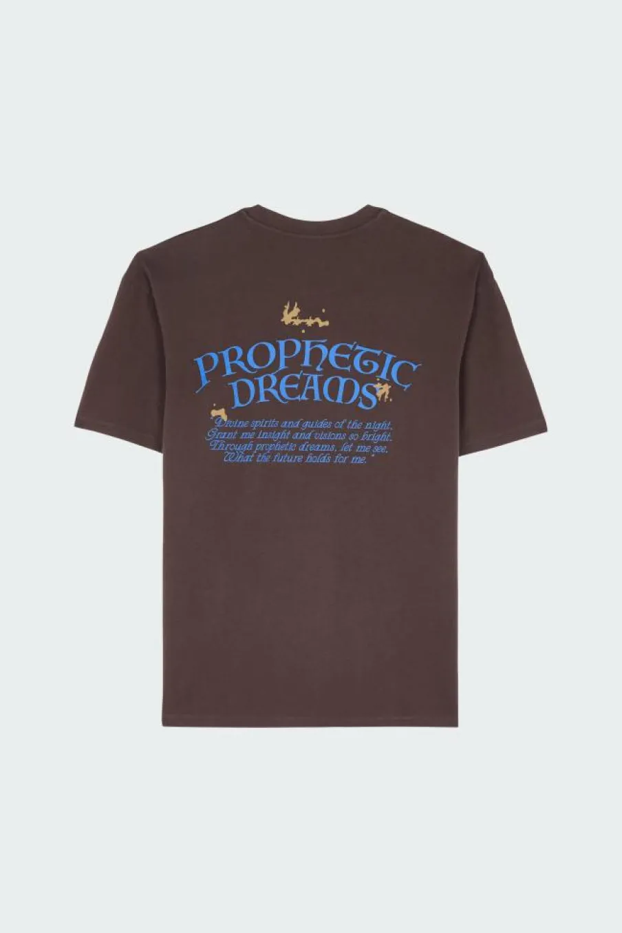 PROPHETIC DREAMS - T-shirt | Marron*EDWIN Online
