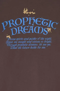 PROPHETIC DREAMS - T-shirt | Marron*EDWIN Online