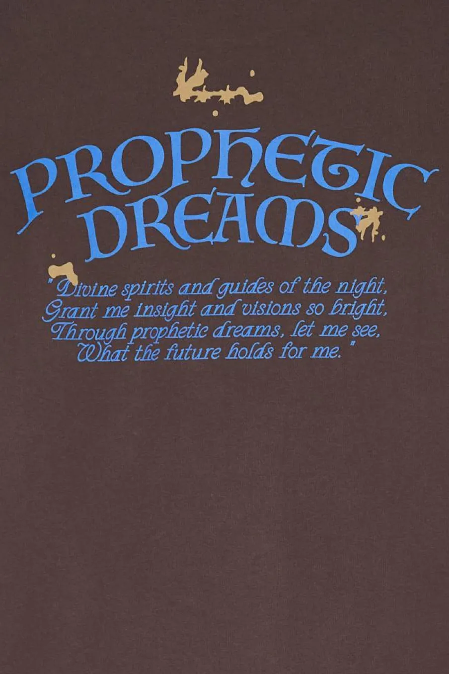 PROPHETIC DREAMS - T-shirt | Marron*EDWIN Online