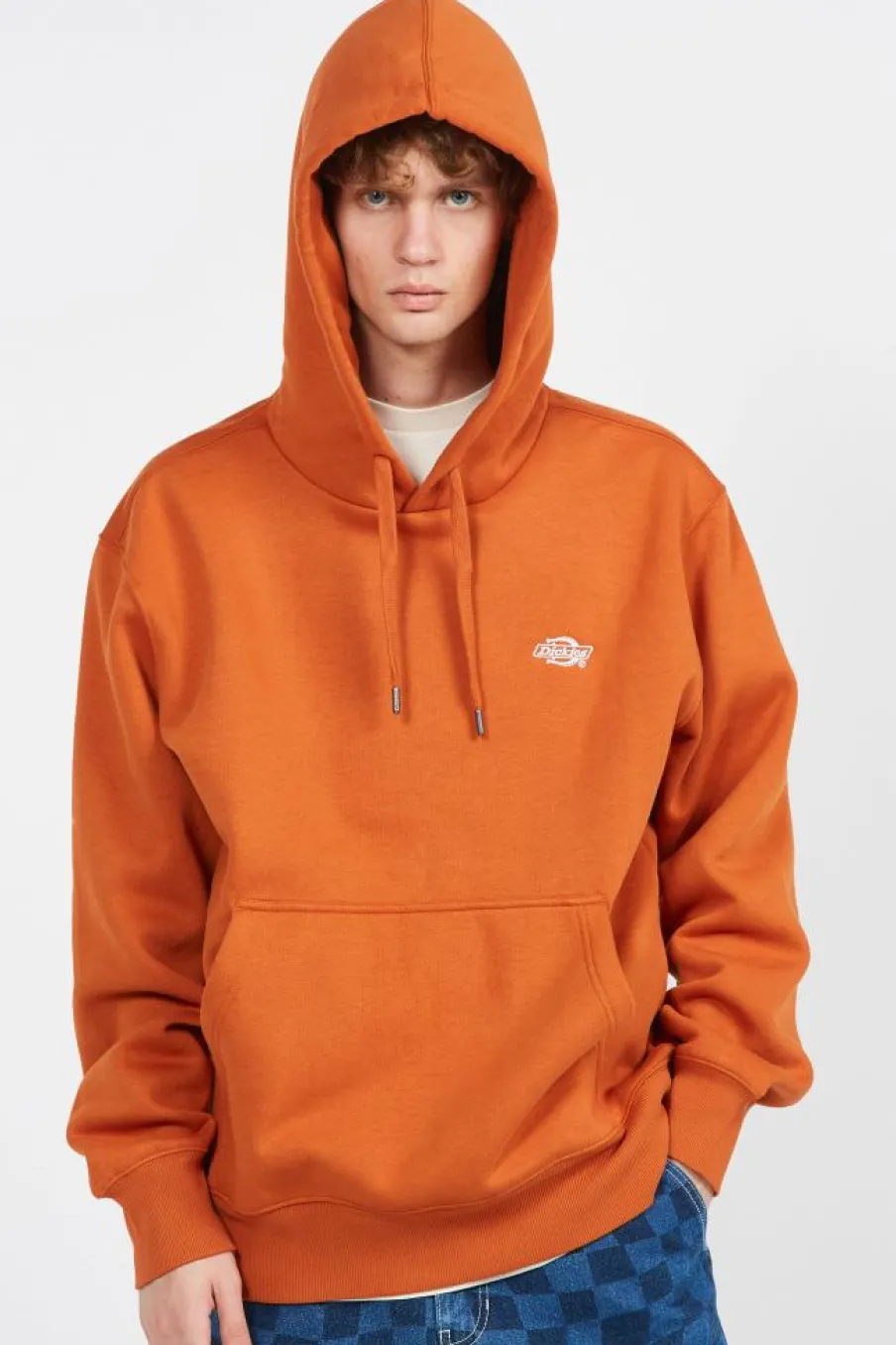 SUMMERDALE HD - Hoodie | Marron*DICKIES Online