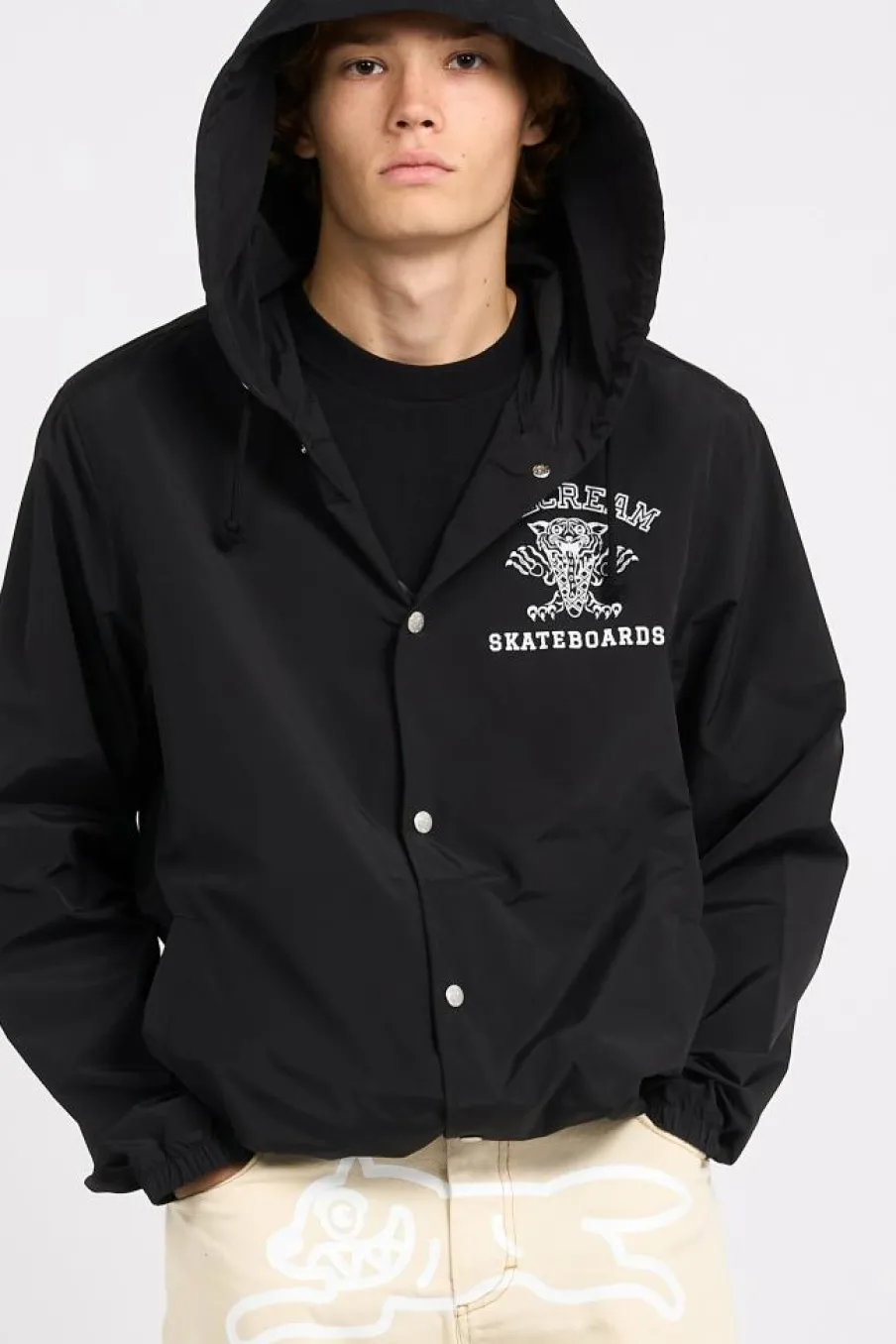 TIGER HDED COACH - Parka | Noir*ICE CREAM Best