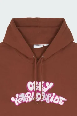 YEAR HOOD HD SEP - Hoodie | Marron*OBEY Discount